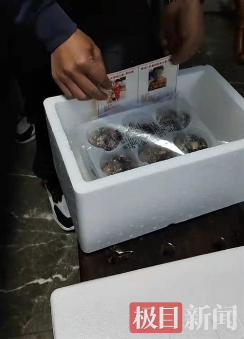 孫海洋跨界餐飲 以包子為媒，將尋親信息送入千家萬(wàn)戶
